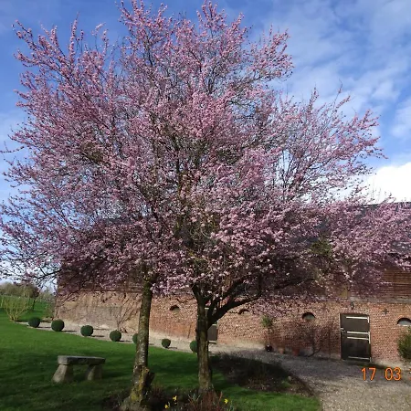Le Petit Marais Villa Clais Exterior photo